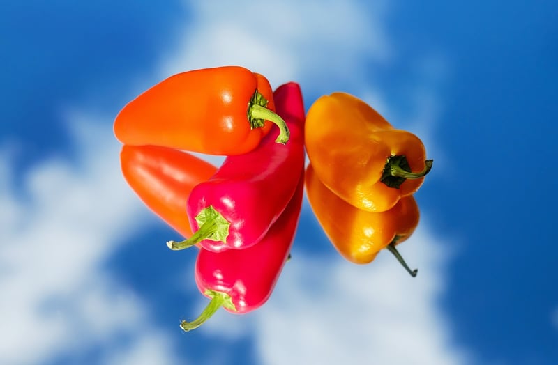 Exotic Spices